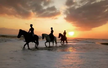 horse ride package on the black sand