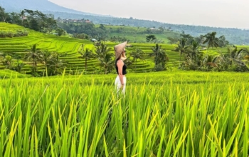 Jatiluwih Rice Terrace
